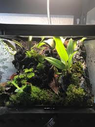 Nano Vivarium