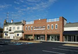 Lucky was second life atlanta's first chief smile officer. It S A Dog S Life Dog Daycare Boarding Grooming Alpharetta John S Creek Suwanee Atlanta Doggy Daycare For Your Furry Family