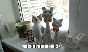 Нескладная парочка копов борется с наркотиками в школе, изображая подростков. Prikolnye I Smeshnye Ot Dimon Za 09 Sentyabrya 2019