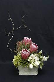 Pin On Favorite Flowers