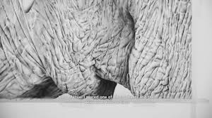 It wasn't always going to be that way the elephant took quite some time, roughly a year and by the end esgaio had been torn apart by two. Teresa Esgaio Elephant Vs Rhinoceros Youtube