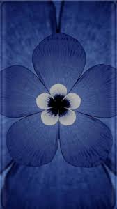 Blue Flower Wallpaper Pretty Wallpaper Iphone Hd Phone Wallpapers Phone Wallpaper Feel free to send us your own wallpaper and we. pinterest