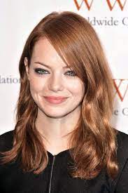 Light Auburn Brown Hair Hair Color Auburn Light Auburn Hair Light Hair Color