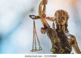 Image result for Justicia francoiseana