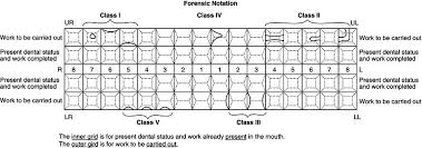 15 restorative dentistry pocket dentistry