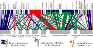 Maybe you would like to learn more about one of these? Flowers With Poricidal Anthers And Their Complex Interaction Networks Disentangling Legitimate Pollinators And Illegitimate Visitors Mesquita Neto 2018 Functional Ecology Wiley Online Library