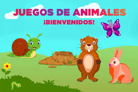 Aprender cualquier materia o temas de sus ejercicios son interactivos por lo que será divertido aprender matemáticas. Juegos De Animales Para Ninos Juegos Infantiles De Mascotas Online Gratis