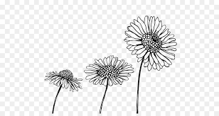 Check spelling or type a new query. Disegno Di Fiori Recisi In Bianco E Nero Le Pagine A Colori Scaricare Png Disegno Png Trasparente Fiore Png Scaricare