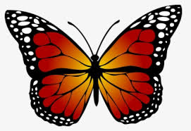 Download monarch butterfly template and use any clip art,coloring,png graphics in your website, document or presentation. Monarch Butterfly Png Images Free Transparent Monarch Butterfly Download Kindpng