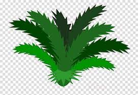 Jungle Plants Clipart Tropical Rainforest Clip Art Clipart Transparent Background Airplane 900x620 Plant Clips Tropical Rainforest Free Clip Art