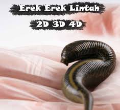 Berikut ini kumpulan buku mimpi 2d terbaru. Tafsir Mimpi Togel 2d Biawak Lautan Api