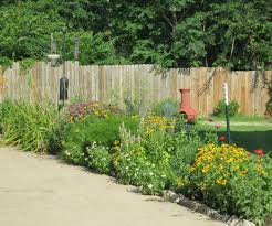 Maybe you would like to learn more about one of these? Trusted Plants For Kansas Landscapes Dyck Arboretum