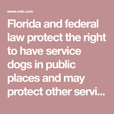 Florida Laws On Service Dogs And Emotional Support Animals Service Dogs Emotional Support Emotional Support Animal