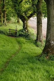 Wanderthewood Wiltshire England By Peaflockster Landscape Beautiful Landscapes Beautiful Nature