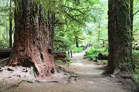 Good vibes only ✌️ est. 15 Top Rated Attractions Things To Do On Vancouver Island Planetware