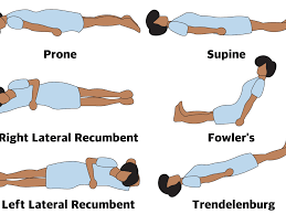 We did not find results for: Anatomical Position Definitions And Illustrations