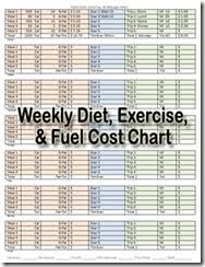 Weekly Calorie Exercise Fuel Chart Fire Up Today