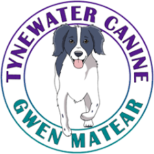 Последние твиты от petprofessionalguild (@petguild). Tynewater K9 Dog Training Classes Behaviour Consultations One To One Coaching Workshops And Seminars