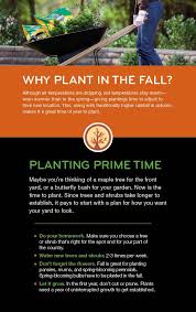 Greens are another popular choice. How To Master The Fall Landscape Season Fall Garden Vegetables Fall Plants Plants