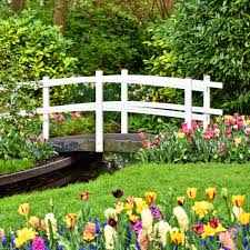 It is situated in lisse, the netherlands. A Country Visit At The Keukenhof Amsterdam Travel Guide