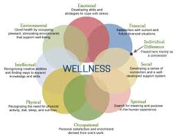 Taking care of your mental health is equally as important as taking care of your physical health. Pin On Holistic Psychiatry