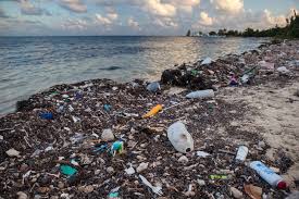 RÃ©sultats de recherche d'images pour Â«Â images plastique dans l'ocÃ©anÂ Â»