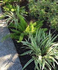 Landscape plants for sandy soils select only plants from this list with a hardiness zone number equal to 1:18 add to landscaping ideas : 75 Beautiful Mid Century Modern Front Yard Landscaping Pictures Ideas July 2021 Houzz