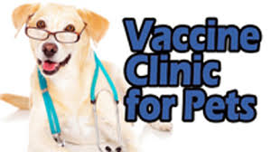 Rabies shot $5.00, 3 year rabies $20.00 ($10.00 min purchase) and other low cost vaccines, flea products, and heartworm preventive products available. Vaccination Clinics San Juan Animal League