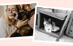 Shelter volunteers may be asked to do administrative work, like mailing before throwing away the junk in your home, ask your local animal shelter if you can donate it. Animal Shelters In And Around Jersey City