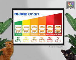 The Chonk Chart FEMALE , Cat Weight Gain Poster, Veterinary Wall Art, Funny  and Cute Animals, Wall Decor, Wall Hangings, Wall Art - Etsy