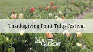Limit one coupon per purchase of thanksgiving point lights coupon 2019 products and quantities stated. Thanksgiving Point Tulip Festival Coupons 08 2021