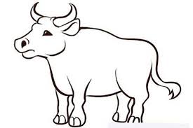 How to draw a Bull: Head, Simply, Easy and for Kids
