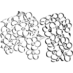 | view 85 daisy illustration, images and graphics from +50,000 possibilities. Daisies Free Svg