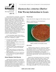 Haemonchus Contortus Barber Pole Worm Infestation Pages 1