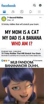 Banananoir Rules Miraculous Ladybug Anime Miraculous Ladybug Memes Miraculous Ladybug Fanfiction