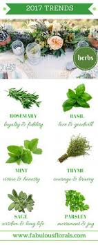 2017 Spring Flower Trends Fresh Herbs Their Meanings