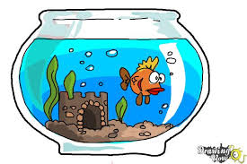 Outsource your anime drawing project and get it quickly done and delivered remotely online. How To Draw Aquarium Drawingnow