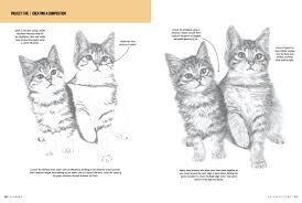Contact engineering drawing tutorial on messenger. Drawing Cats Kittens Learn To Draw Step By Step How To Draw Paint Smith Cindy Stacey Nolon Tavonatti Mia 9781633225787 Amazon Com Books