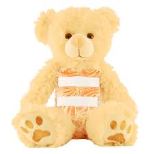 Higgy Bears Are Perfect For Children Of All Ages With Scoliosis Available In Many Fun Patterns And Colors A Great Way To H Scoliosis Bear Scoliosis Exercises