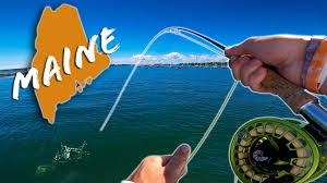 Video Of The Week Jon B And Fly Fishing For Striped Bass Flylords Mag