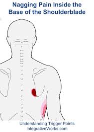 Pin On Neck And Shoulder Pain