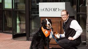 Some hotels, including certain chains, offer free pet stays, but a typical surcharge in us hotels is around $25 per pet per night. The Best Pet Friendly Hotels In The Us Cnn