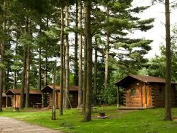 Florida's state parks have plenty of options for camping throughout the state. What To Expect When Cabin Camping Active