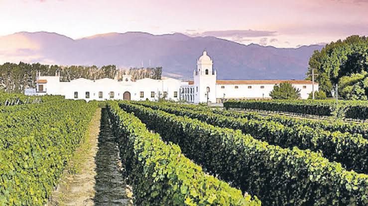 Cafayate, entre valles y bodegas