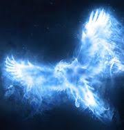 106 die 8cm hohe nachbildung vom otter patronus von hermine granger aus der harry potter. Wie Sieht Dumbledores Patronus Aus Harry Potter Dumbledore