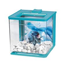 Marina 0 7 Gallon Betta Ez Care Aquarium Kit Blue Petco In 2020 Aquarium Kit Betta Betta Fish Tank