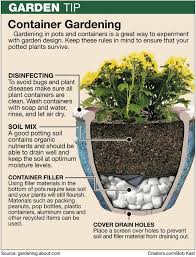 Container Gardening Diagram Garden Containers Container Gardening Plants