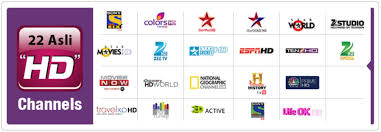 Videocon D2h Recharge Direct To Home Videocon Dth