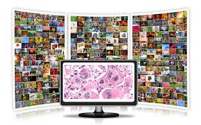 Image source offers a huge stock photo collection of premium royalty free images. 6 Free Open Source Software Programs For Image Analysis Of Pathology Slides Digital Pathology Place