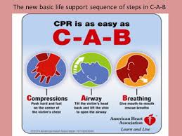 Provide 10 rescue breaths per minute (1 breath. Bls Cpr By Saba Yacoub Maen Basic Life Support Bls What A Is The Level Of Medical Care Which Is Used For Patients With Life Threatening Illnesses Ppt Download